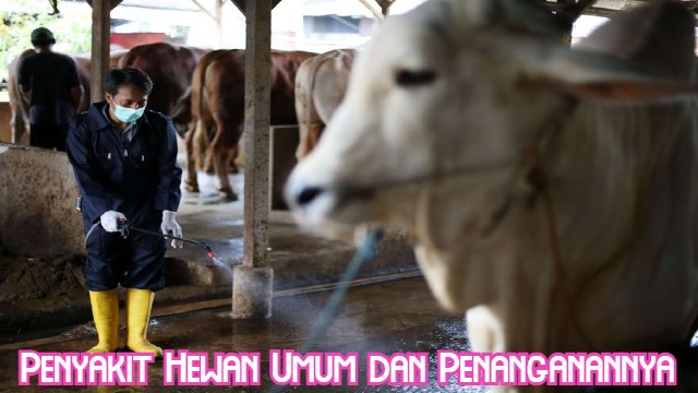 Penyakit Hewan Umum dan Penanganannya