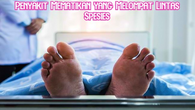 Penyakit Mematikan yang Melompat Lintas Spesies